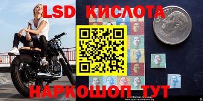 ГАЛЛЮЦИНОГЕННЫЕ ГРИБЫ Балашиха