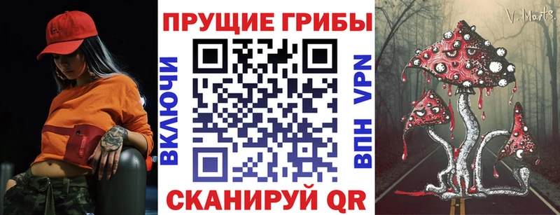 Купить закладки  Большой Камень  Псилоцибиновые грибы мицелий 