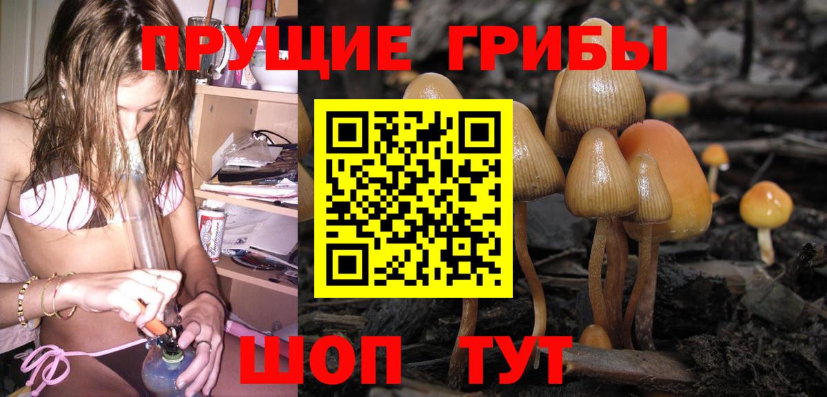 Псилоцибиновые грибы GOLDEN TEACHER Большой Камень