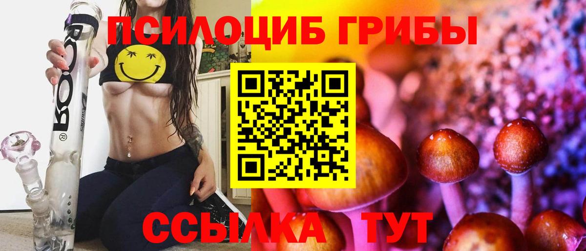 Галлюциногенные грибы Psilocybe  Вход с VPN  Псилоцибиновые грибы Psilocybe  Большой Камень 