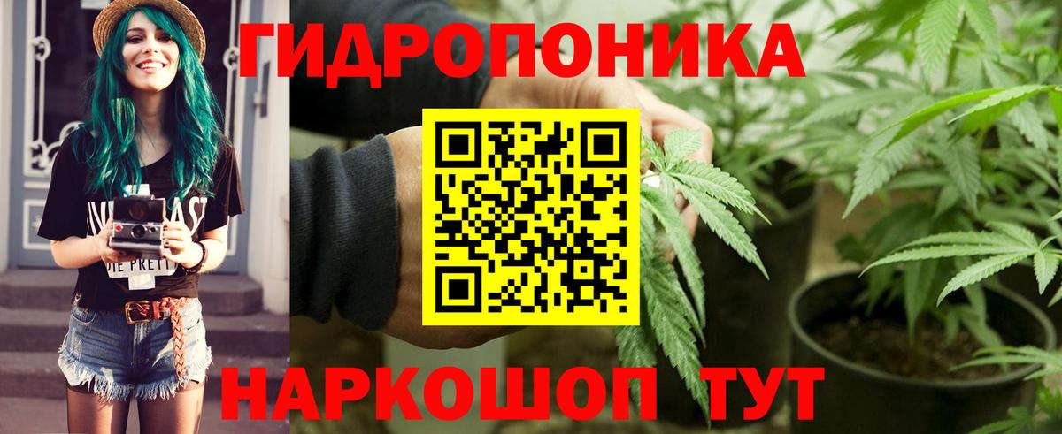 Бошки Шишки план  Большой Камень  Бошки марихуана сатива  Каннабис ГИДРОПОН  МАРИХУАНА Bruce Banner 